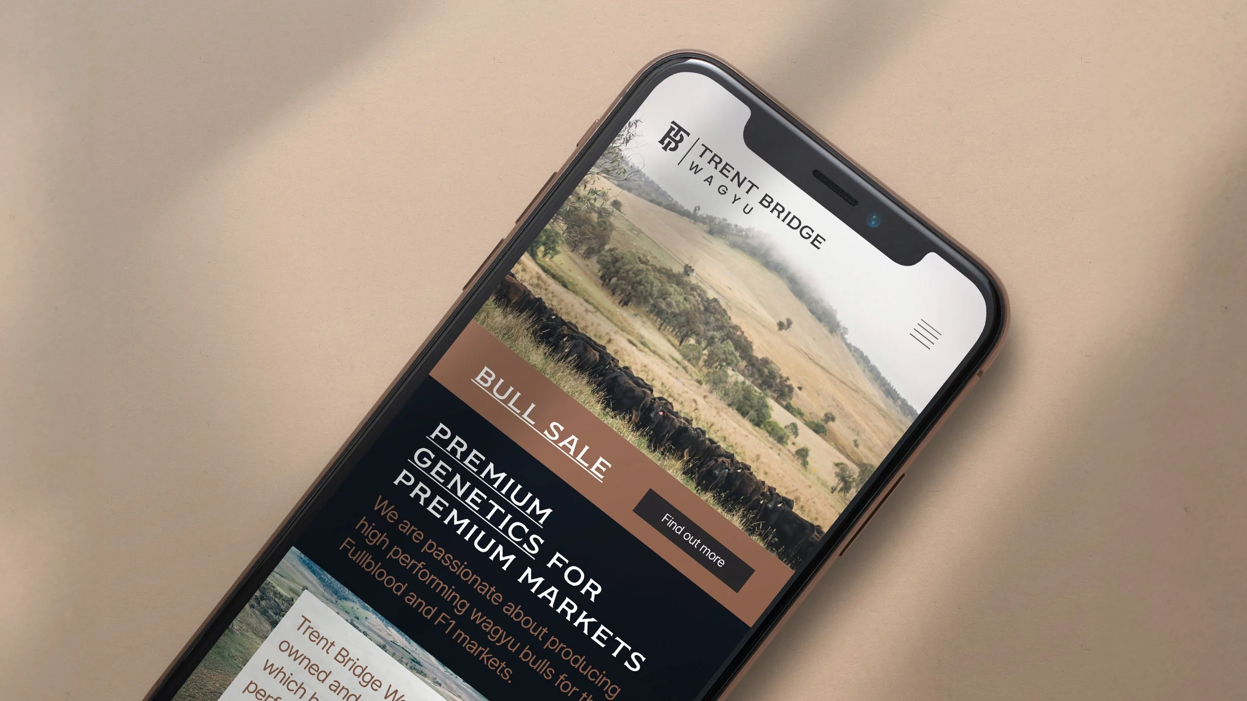 Trent Brige Wagyu website mobile view