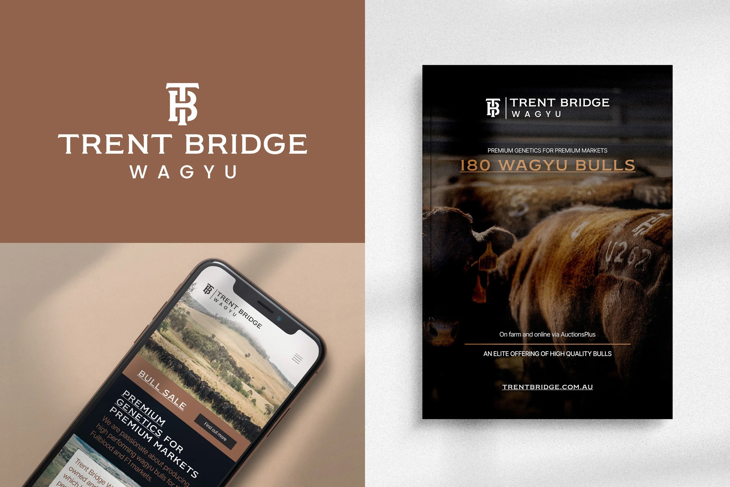 Trent Bridge Wagyu logo, iPhone mockup and brochure cover