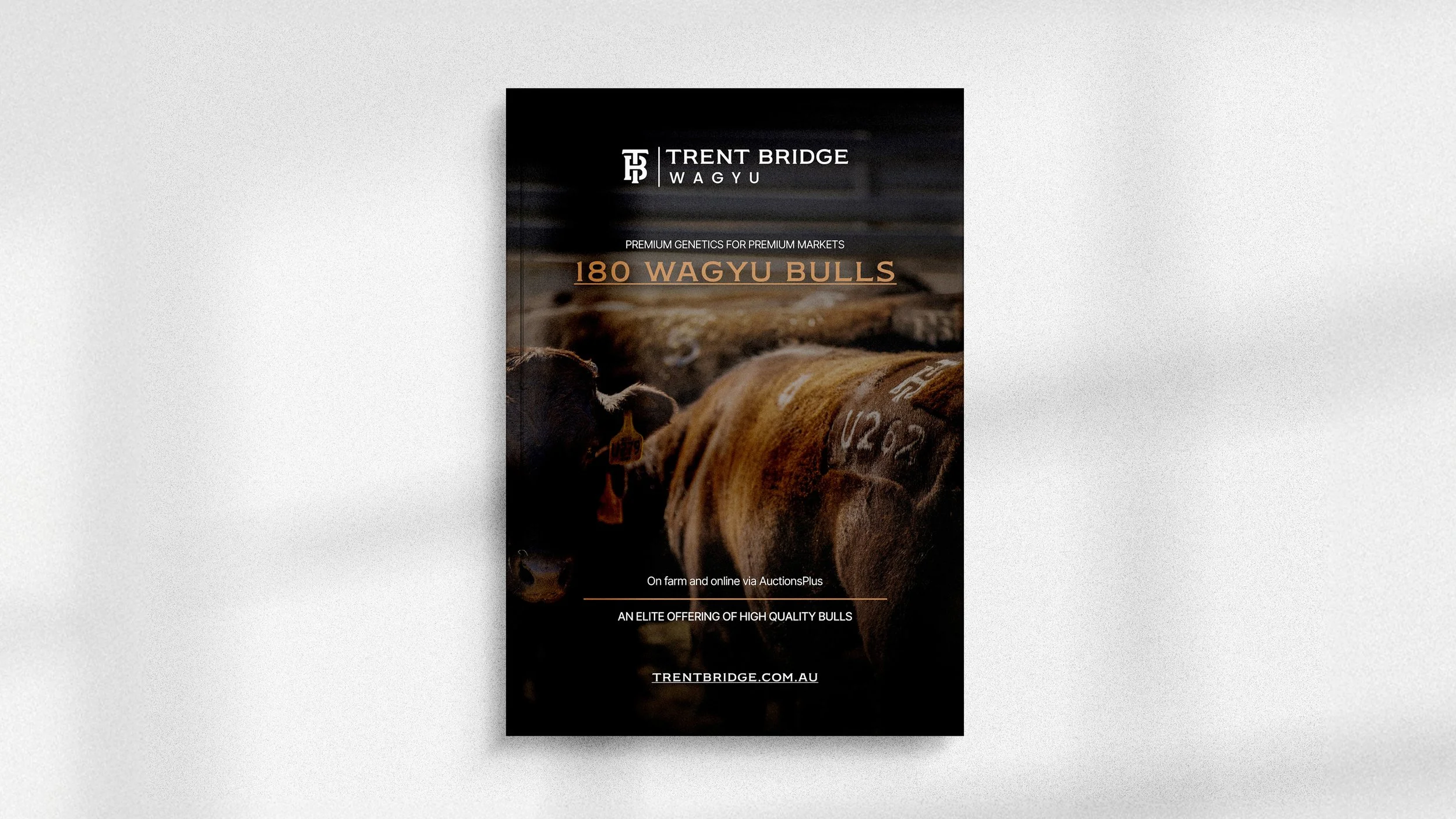 Trent Brige Wagyu catalogue cover