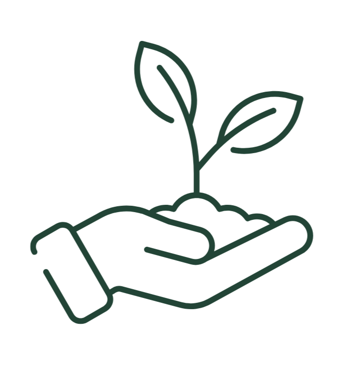 Inspecciones generales