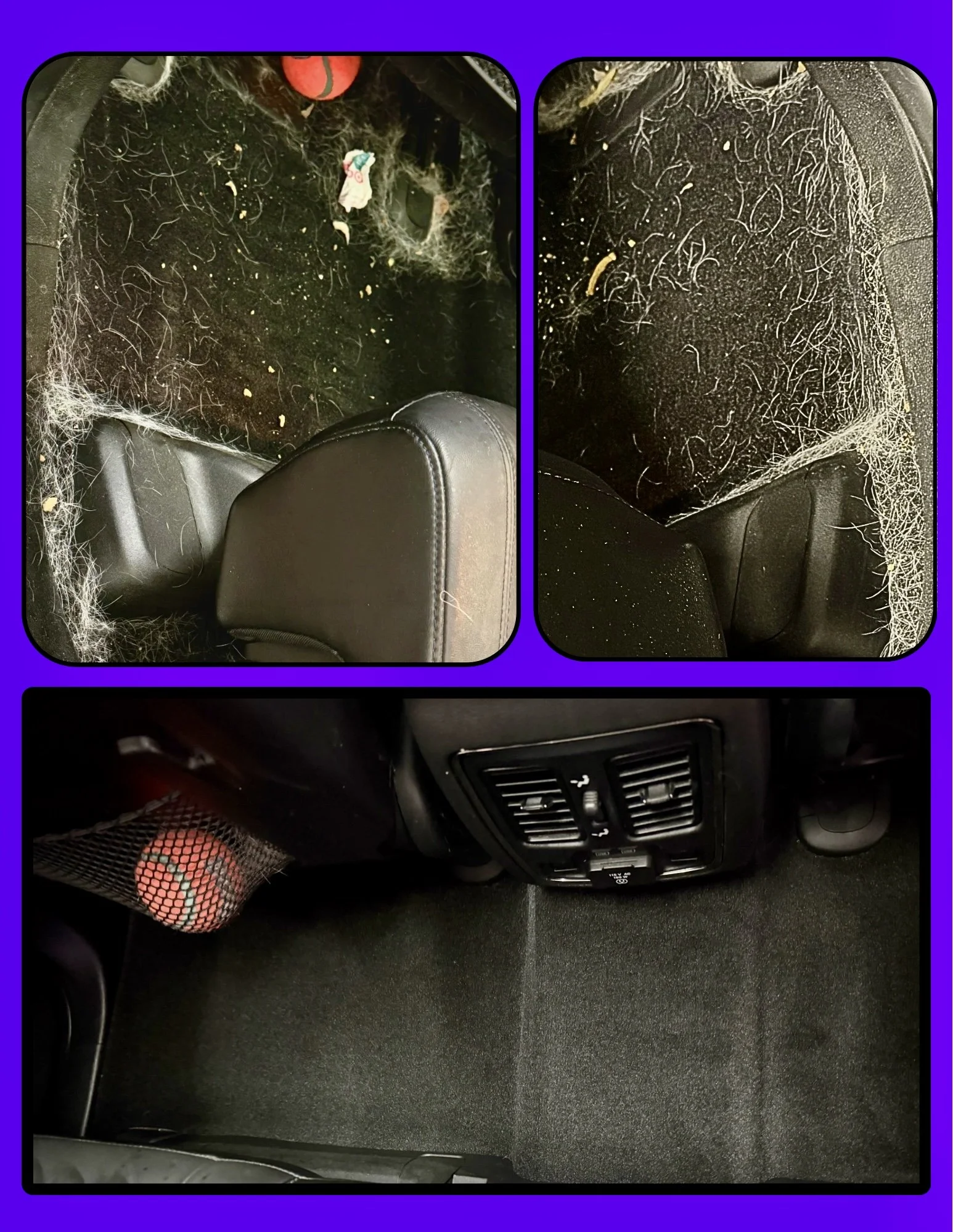 Car back seat area with car floor mats covered in pet hair, crumbs, and debris, and a black seatbelt attachment.