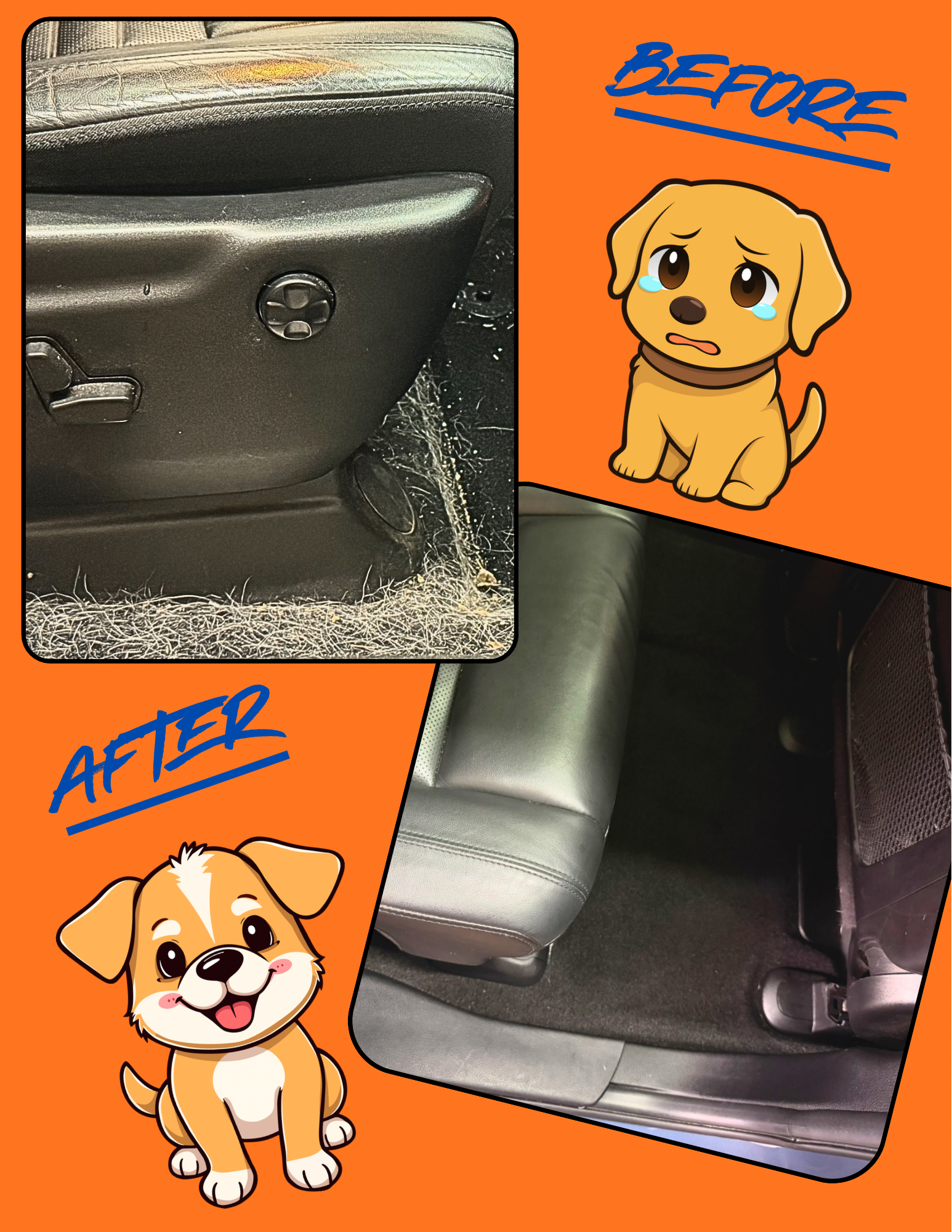 Dog Hair Removal