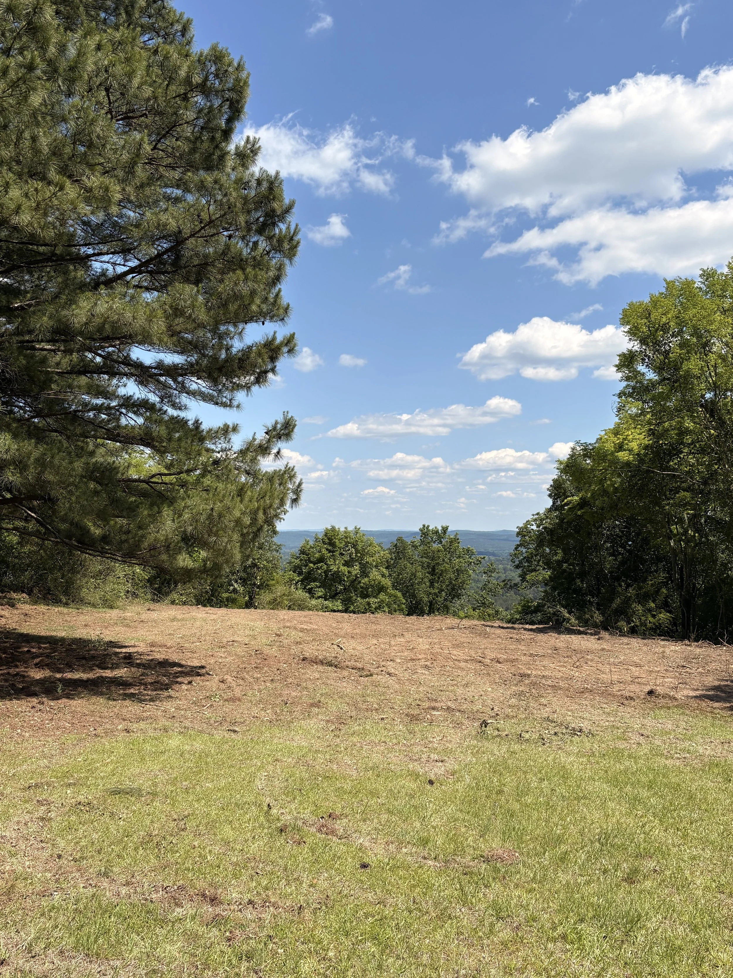 Open grassy area with trees on the left and right, blue sky with white clouds in the background, distant landscape. Land Clearing and Site Prep completed in this area to regain the mountain views.