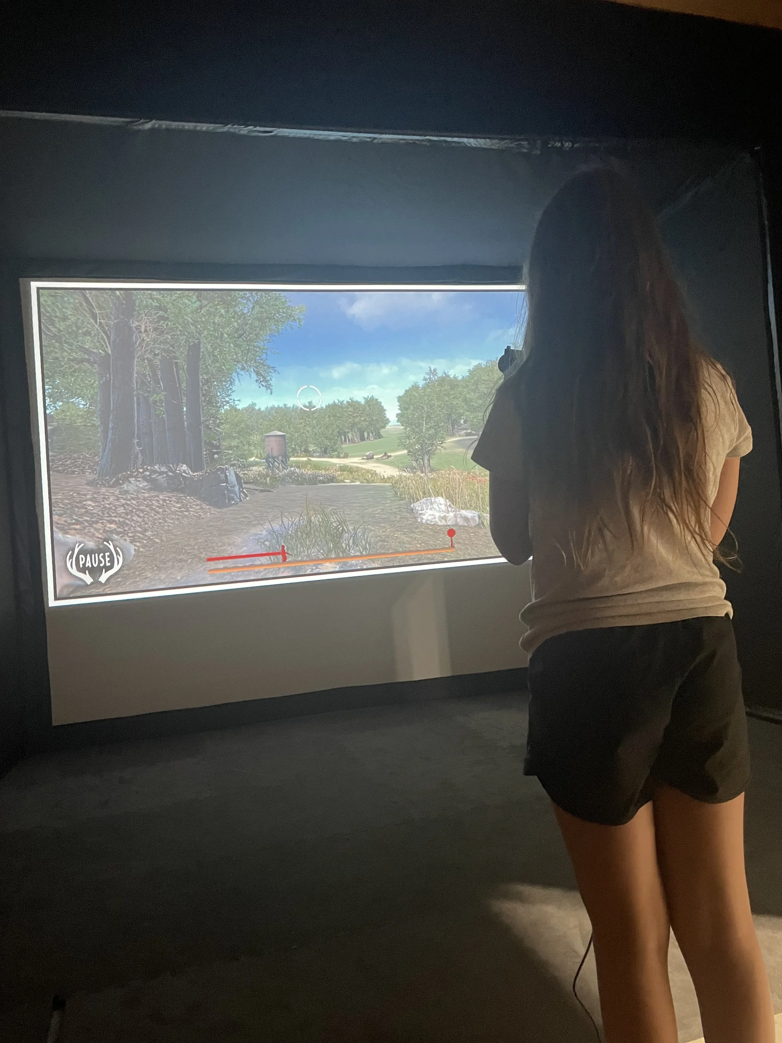 Multi-sport simulator