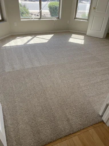 Freshly steam cleaned carpets in an empty room with beige carpet, large windows with sunlight, and a white door.