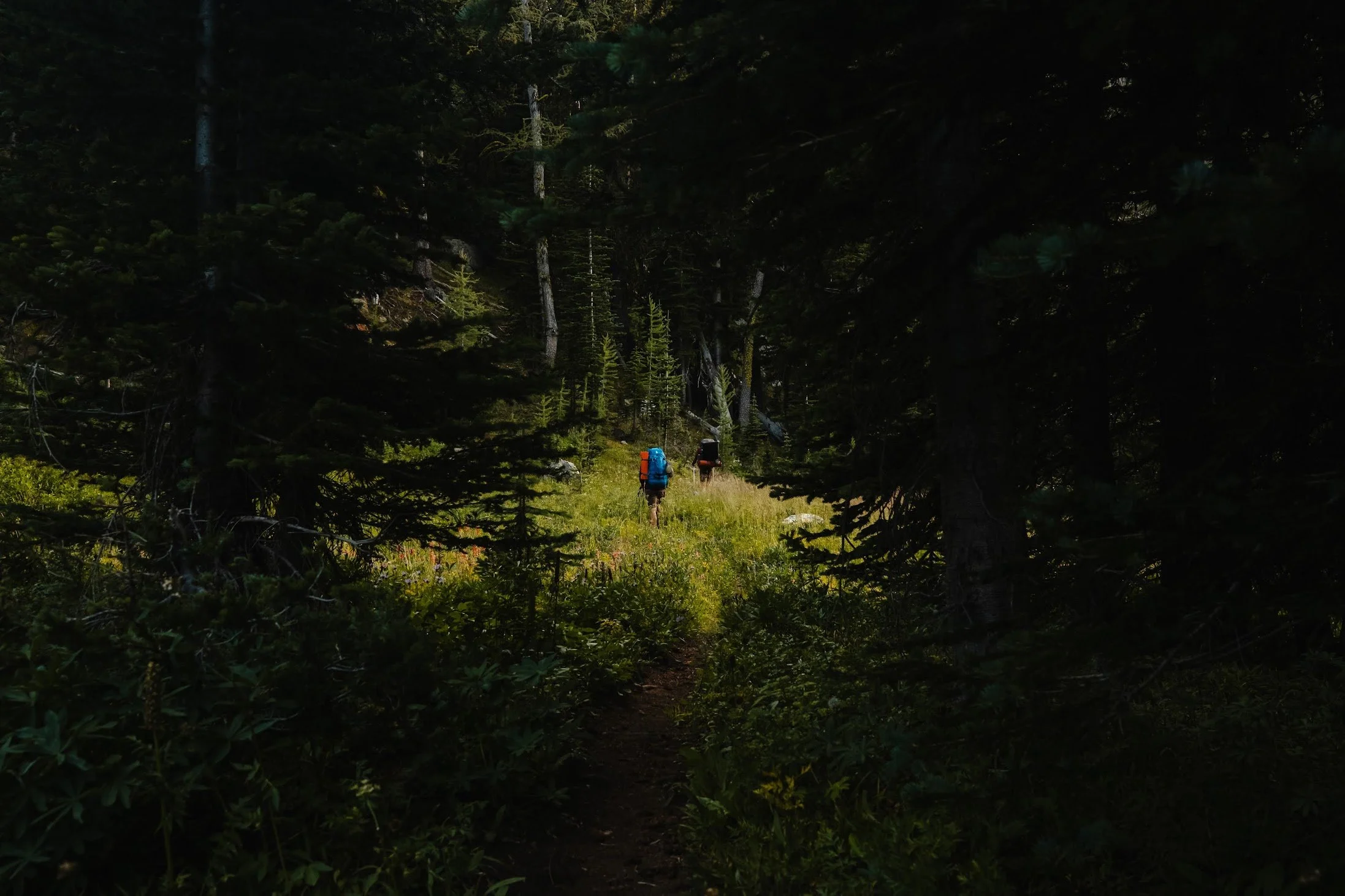 Wilderness Spirituality