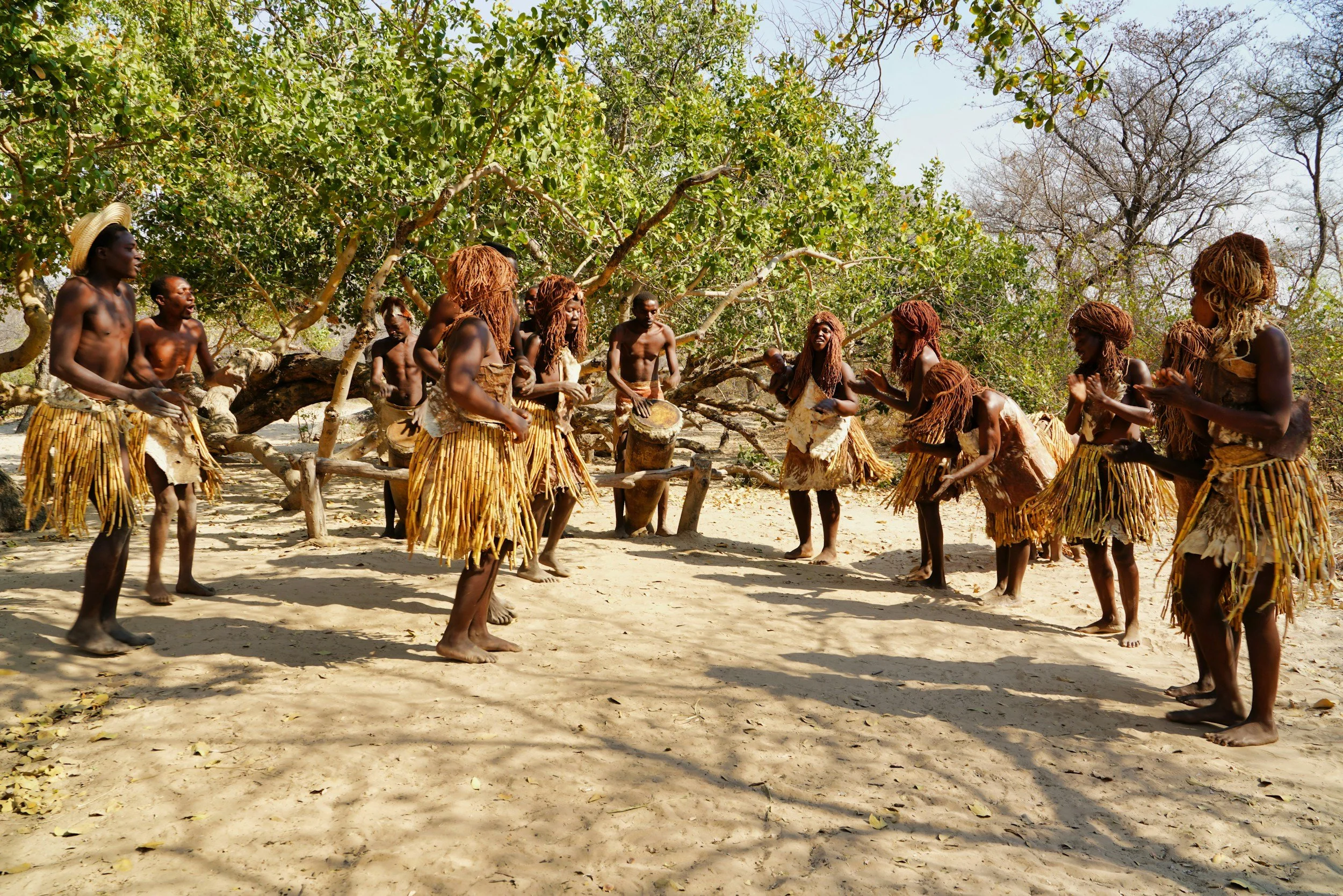 Group of indigenous people dancing and playing drums outdoors in a natural setting with trees.