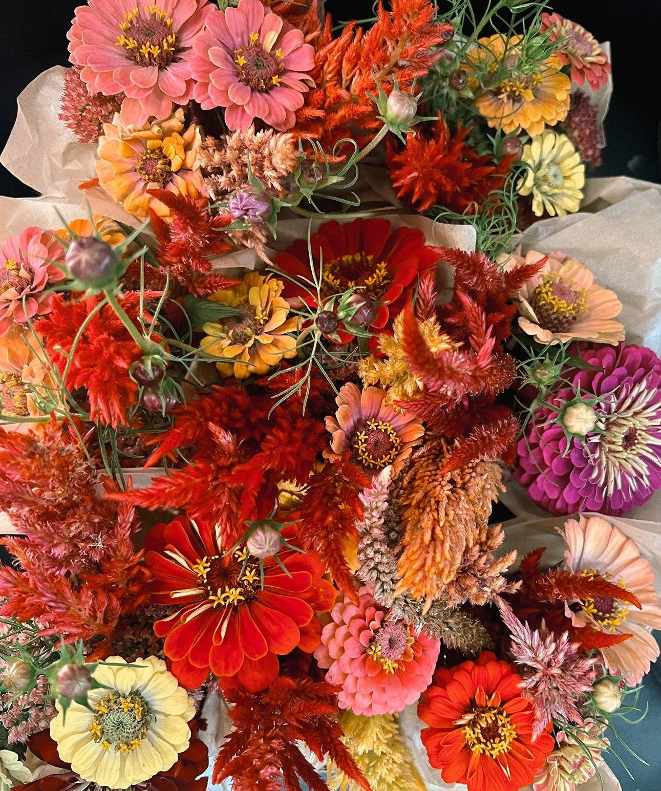 wildblumen-ranch-83.jpg (Copy)