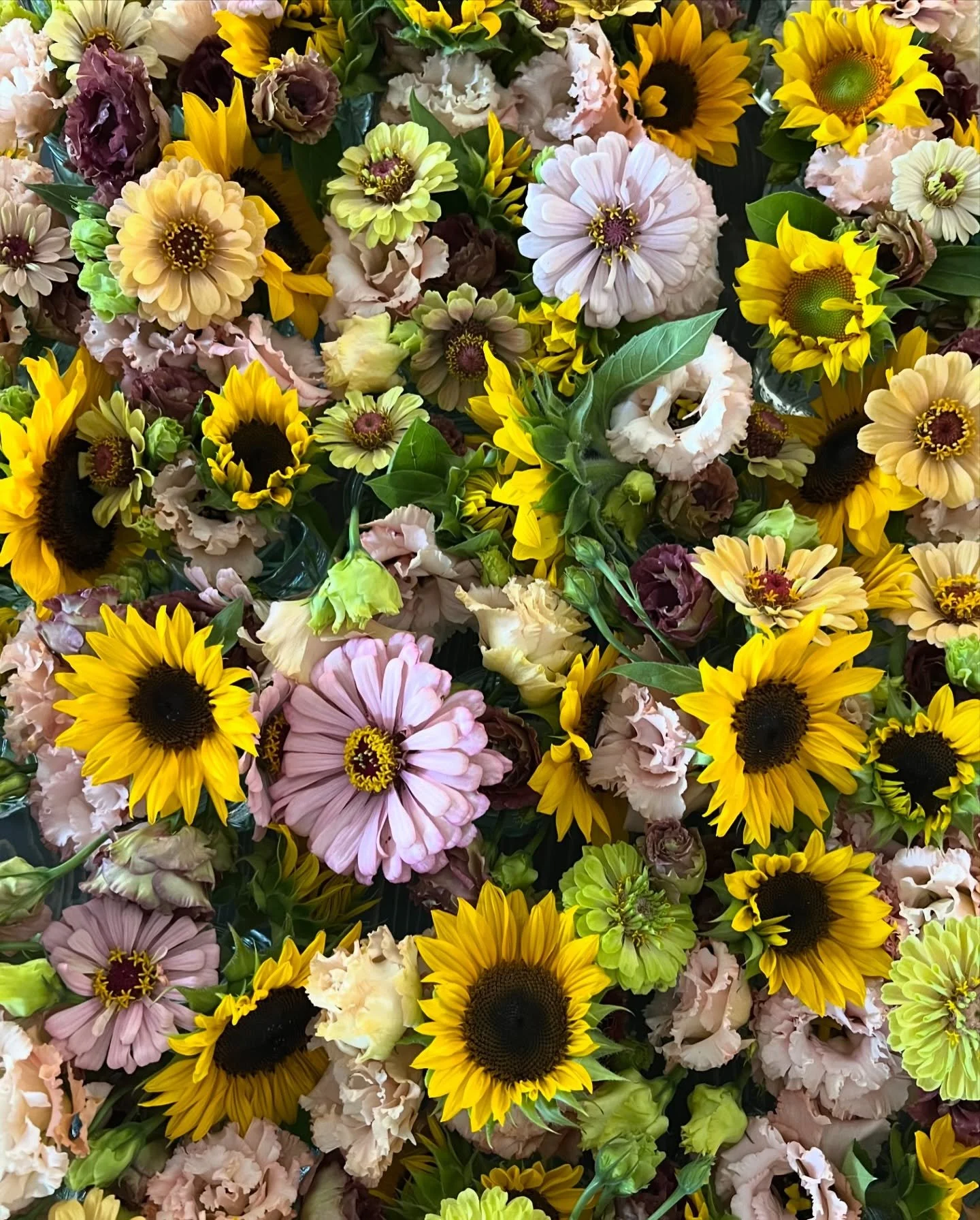 Hi friends, Happy Spring! 
We&rsquo;ve been a bit quiet over here, but our hands have been hard at work.

We are so excited to be preparing for the launch of our 2026 flower CSA in the coming weeks.

We&rsquo;ll be sharing more soon about what a CSA 