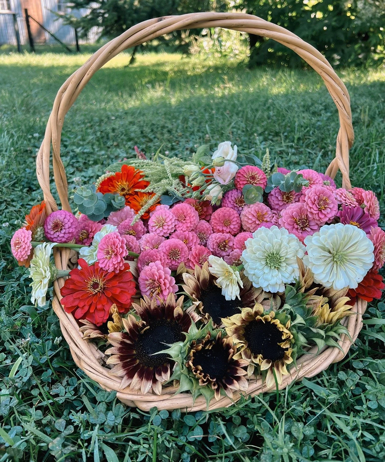 wildblumen-ranch-123.jpg