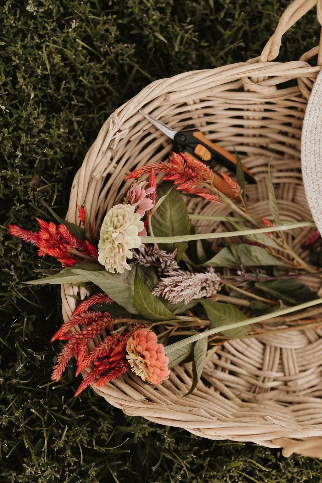 wildblumen-ranch-98.jpg