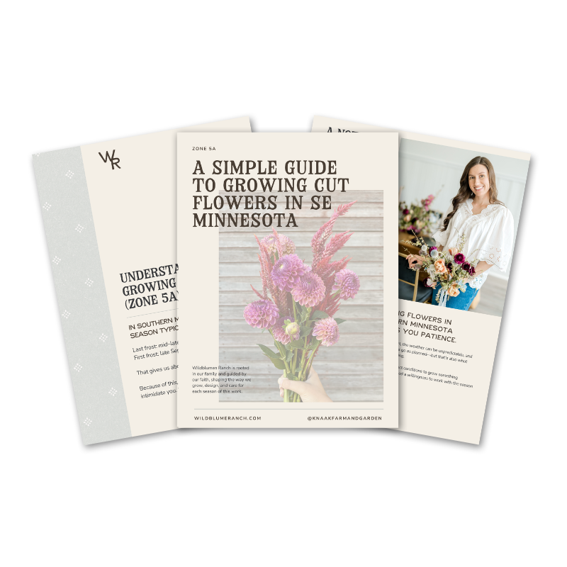 Three informational leaflets about growing cut flowers in Southeast Minnesota, with the middle one showing a bouquet of pink and purple flowers.
