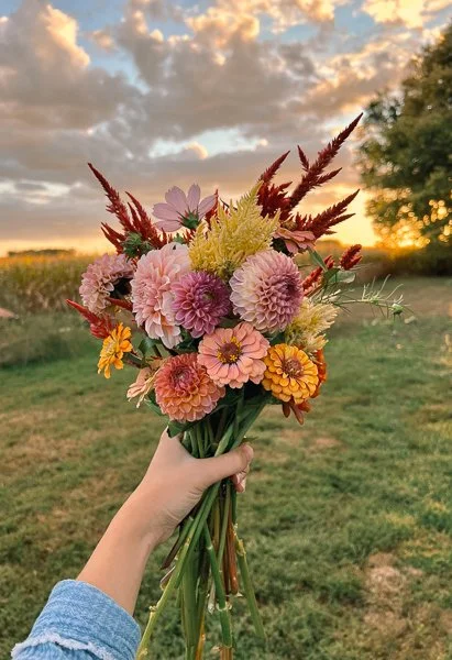 Hand holding a colorful bouquet of flowers outdoors during sunset with grass and trees in the background.