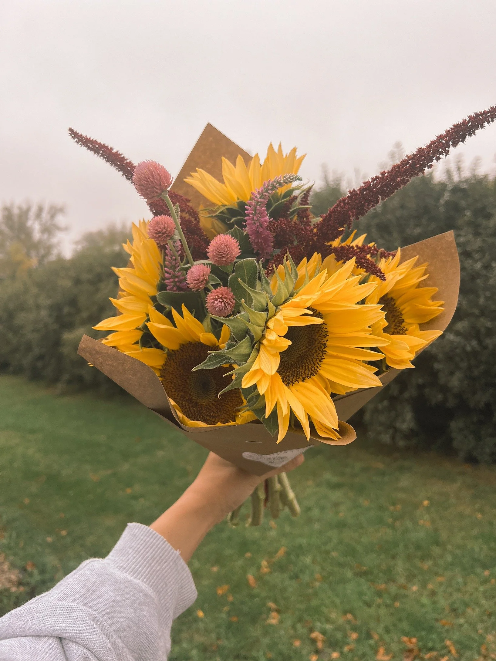 A person holding a bouquet of sunflowers with pink and red accents outside on cloudy day.