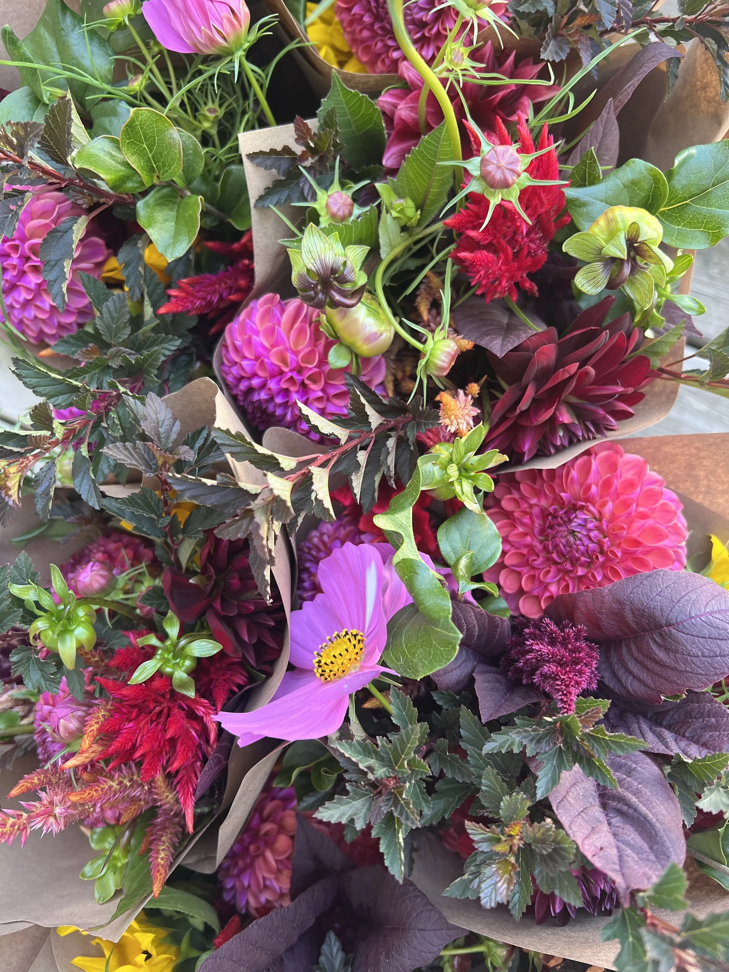 CSA Bouquet - 8 week
