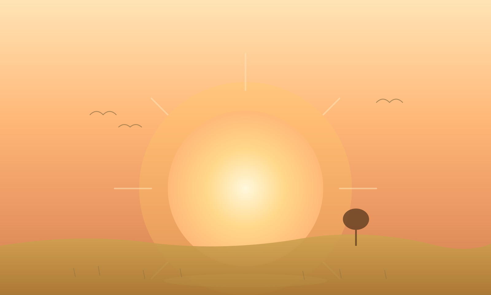 ☀️ Sunshine Story