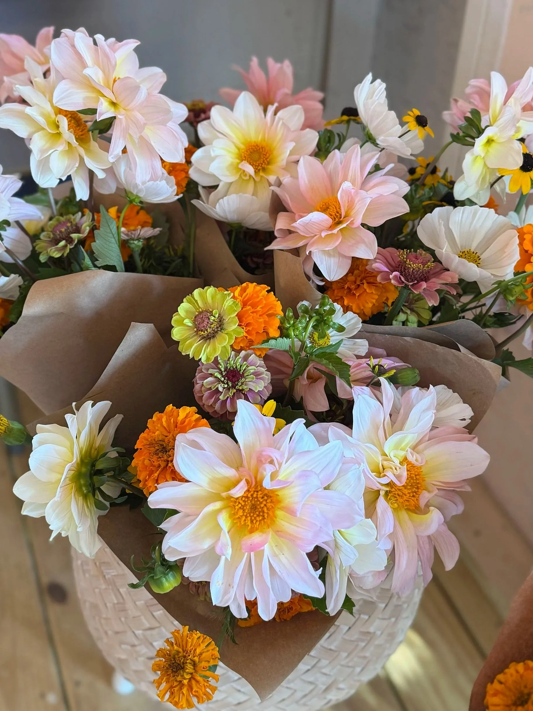peach_house_farm_101.jpg