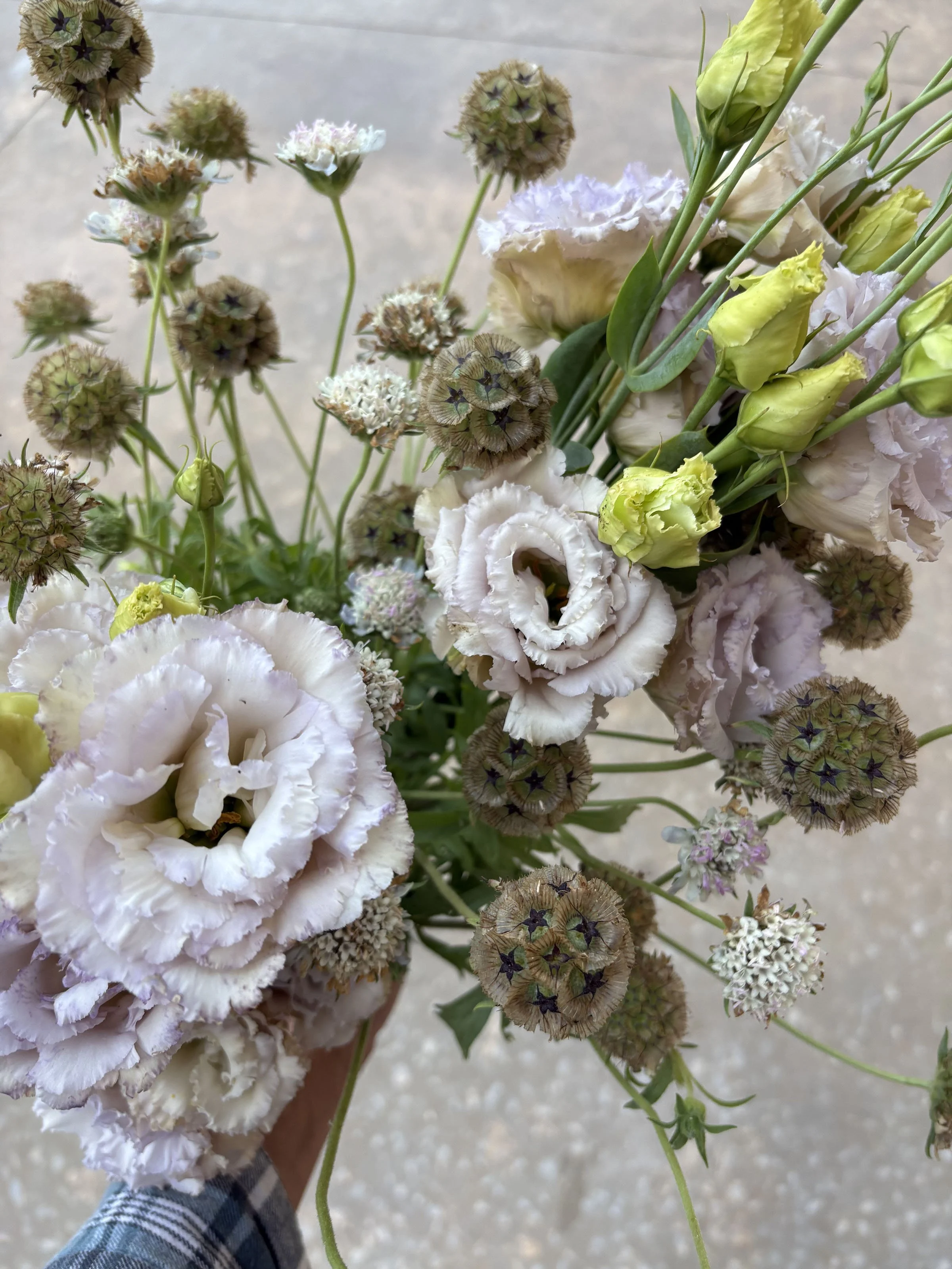 scabiosa 'starflower' with lisianthus 'chateau blue'peach_house_farm.jpg