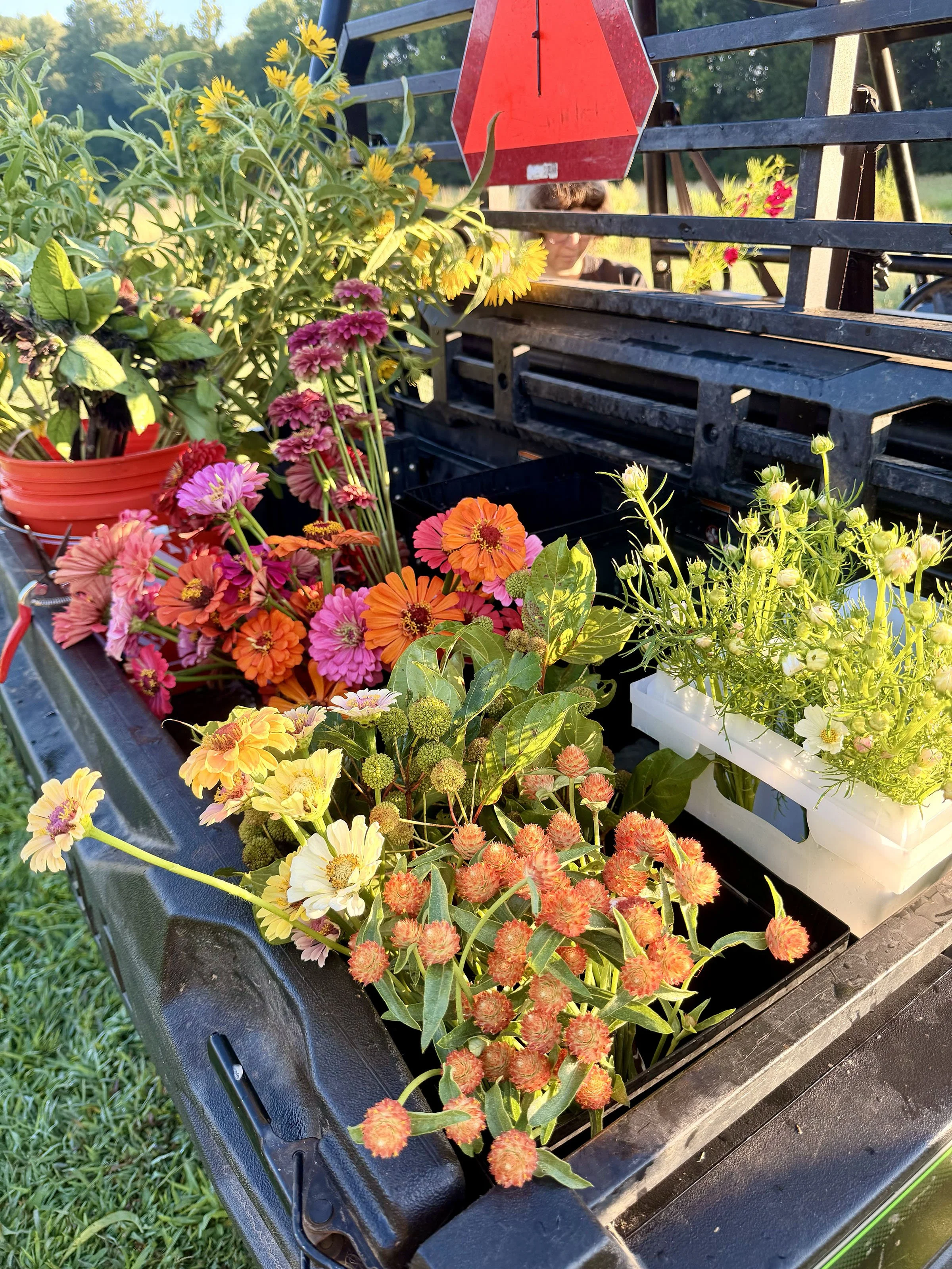 trunk full!! peach_house_farm.jpg