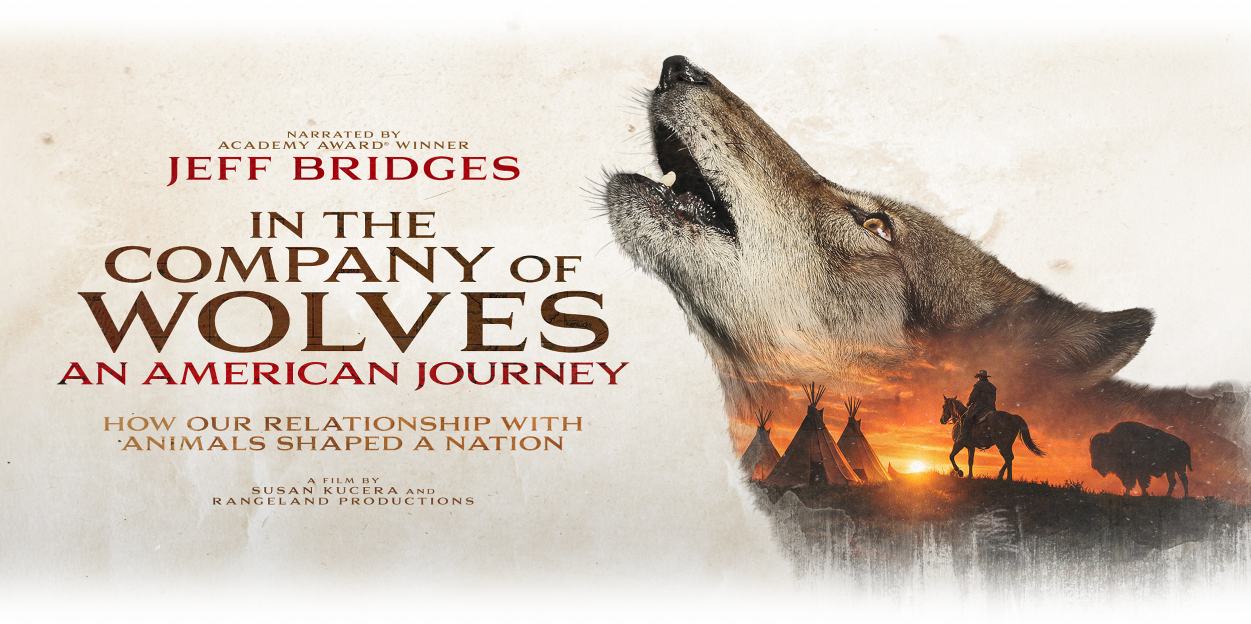 In the Company of Wolves — An American Journey