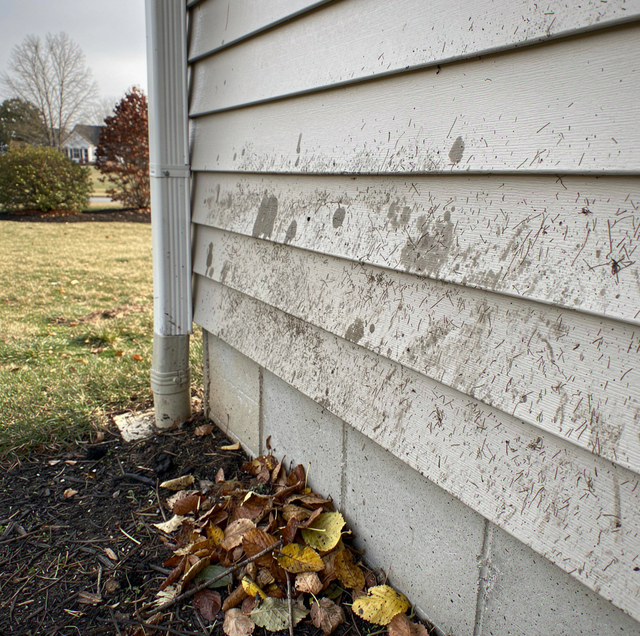 Storm Cleanup for Your Home's Exterior: Where to Start