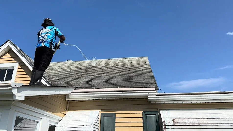Professional Roof Cleaning: What Homeowners Should Expect