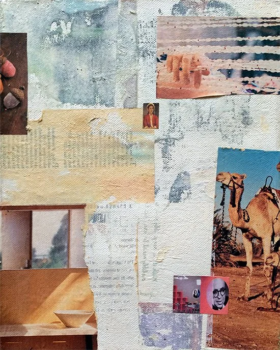 camel.jpg