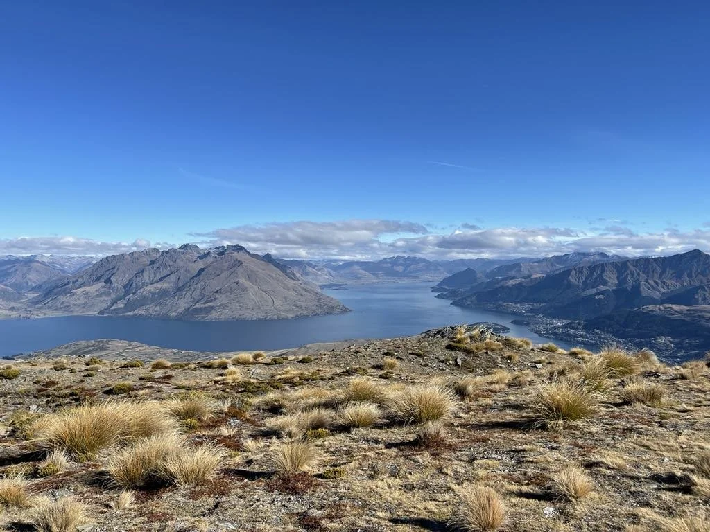 Mountains and a lake viewed from a grassy, rocky hillside under a clear blue sky.