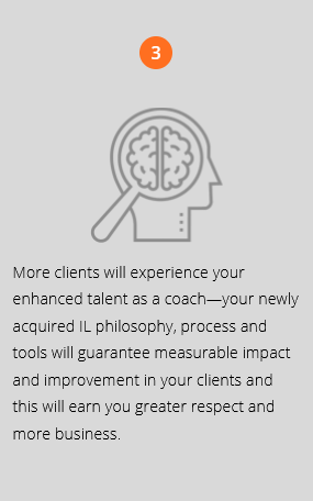 Pillar 3 of 7 in Intelligent Leadership® Executive Coaching process