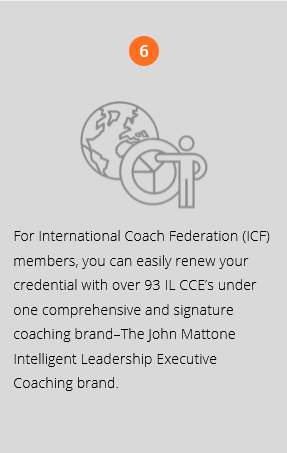 Pillar 6 of 7 in Intelligent Leadership® Executive Coaching process