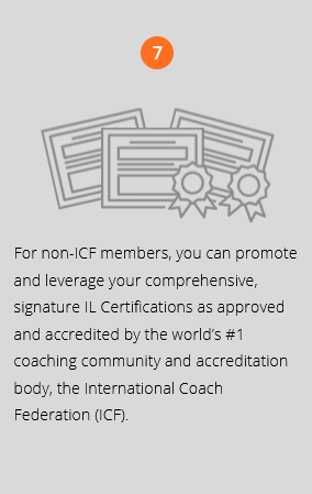 Pillar 7 of 7 in Intelligent Leadership® Executive Coaching process