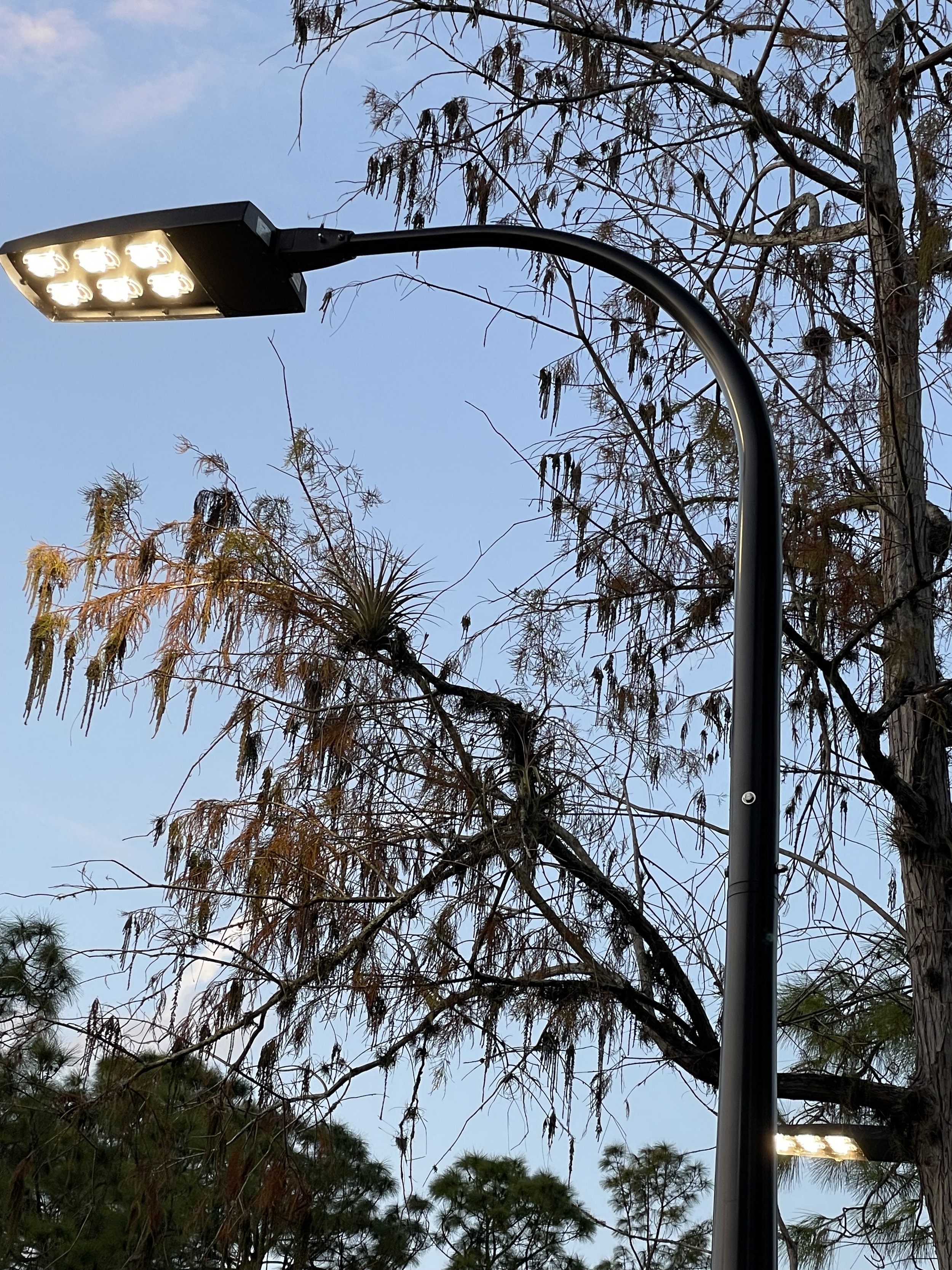 Cutoff LED light.