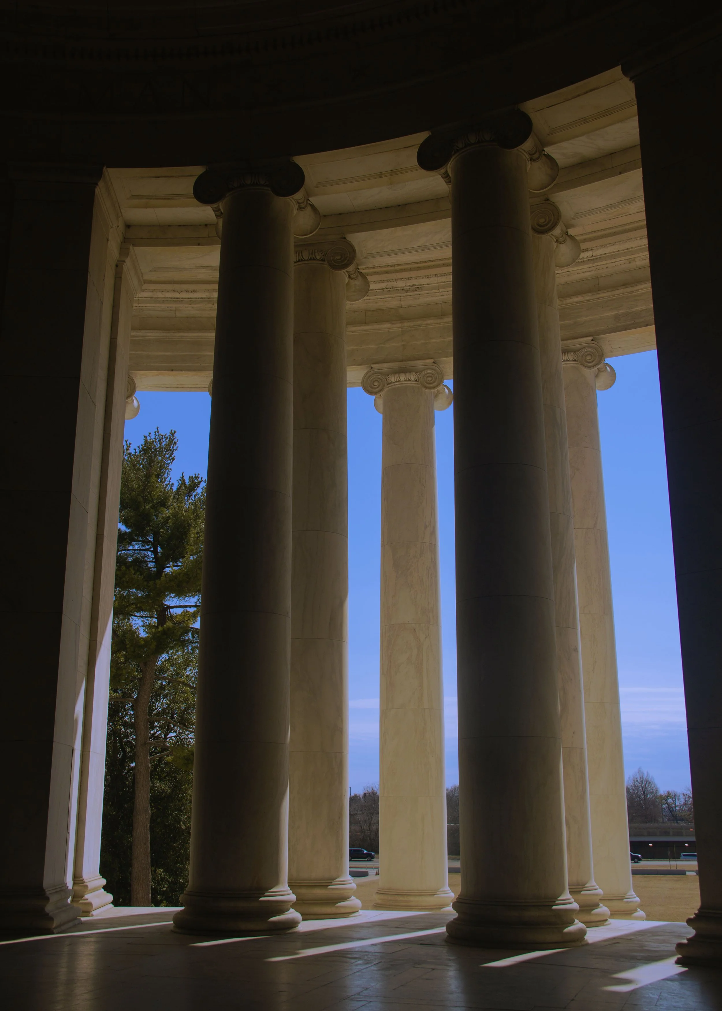 View of large white classical columns with shadows on the floor, blue sky, and trees visible in the background, taken from inside a building.