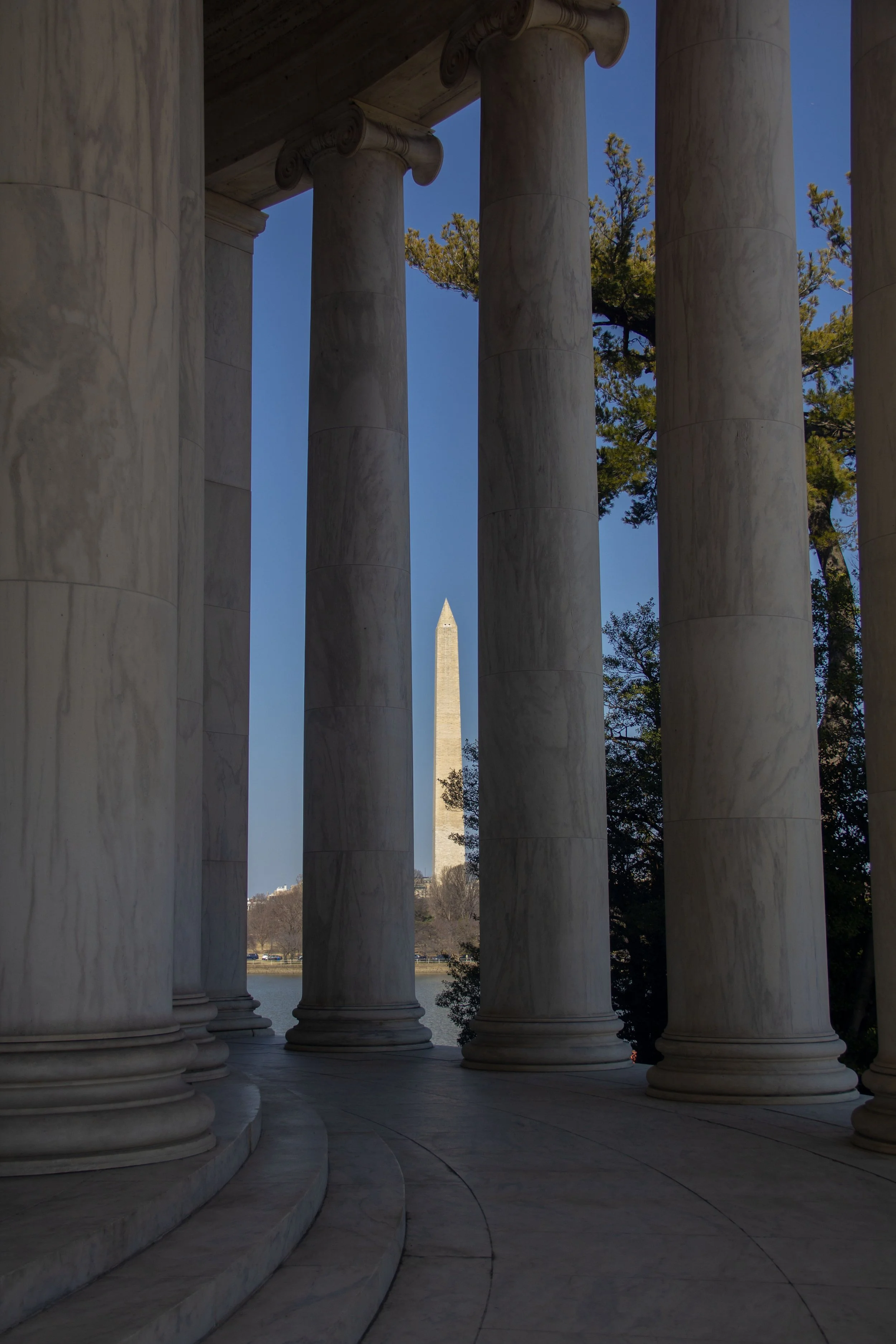 View through marble columns shows the Washington Monument in the distance with a blue sky and a tree in the background.