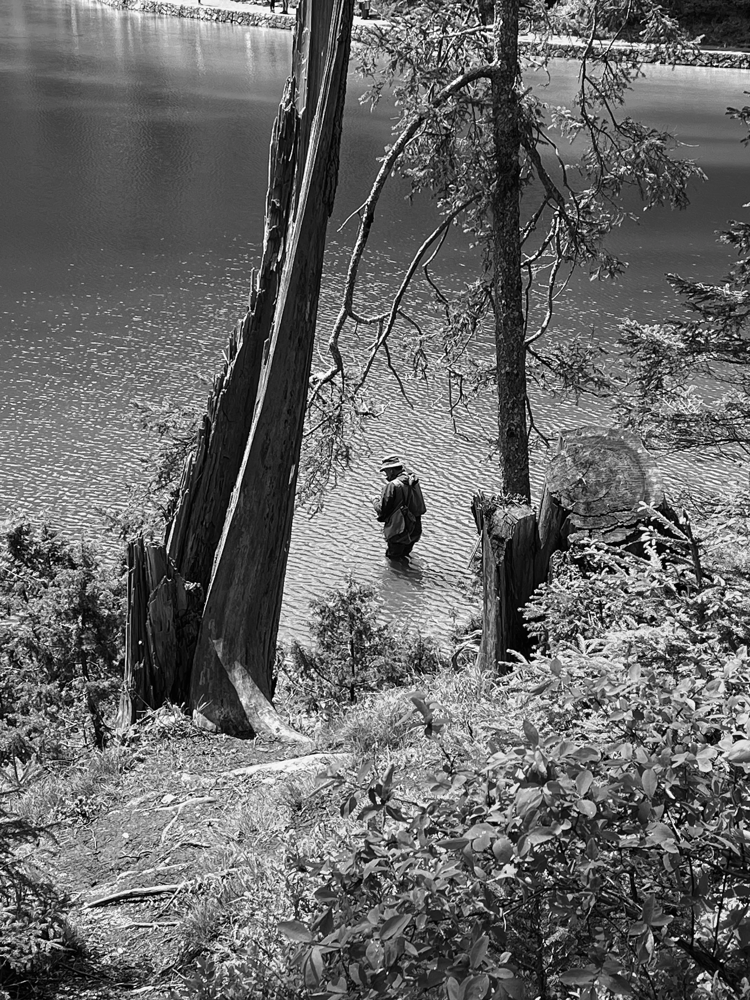 A man walking in a flooded area amid trees and bushes, with water reaching up to his knees, in black and white.