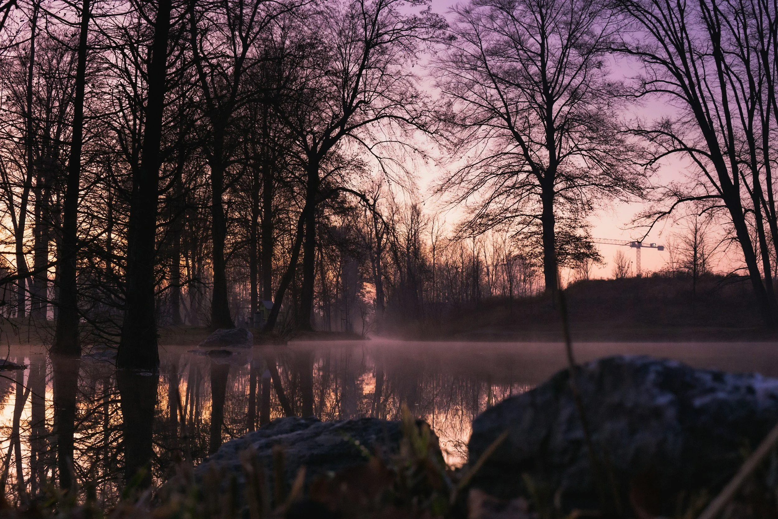 Trees reflecting in a calm river during sunset with pink and purple sky, some rocks and grass in the foreground.