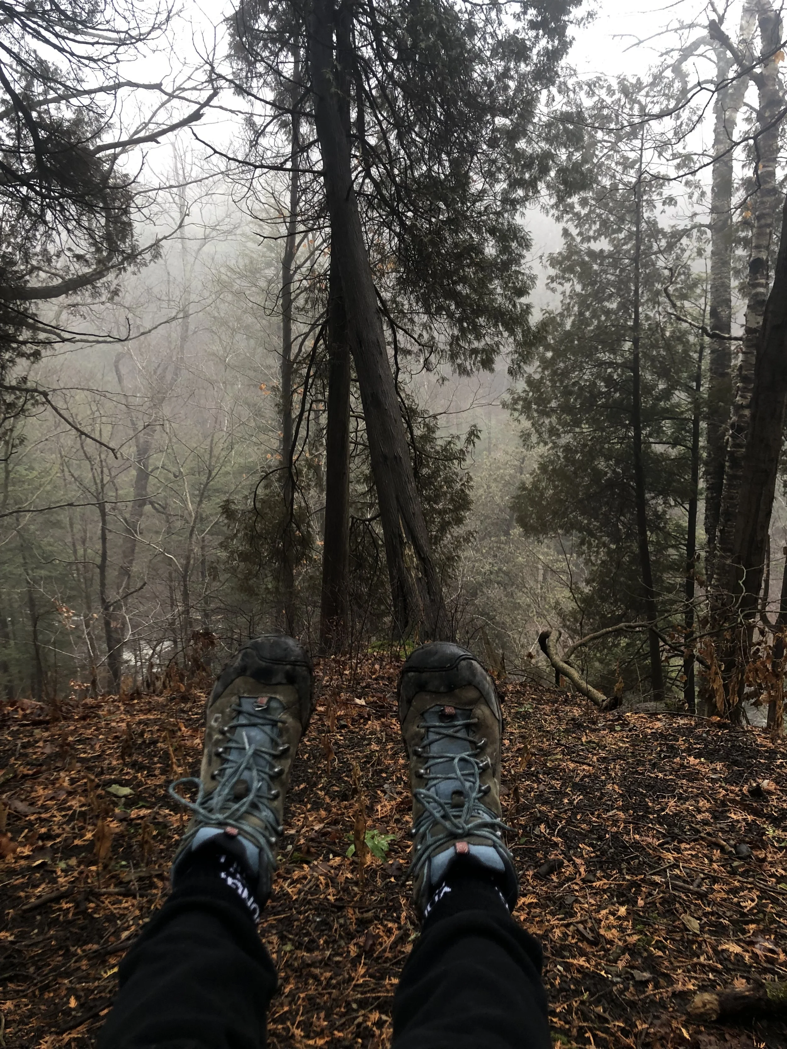 Nature-Based Therapy: Healing Outside the Lines