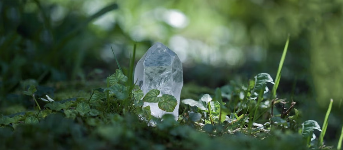 A clear quartz crystal standing upright on a bed of green plants in a natural forest setting with sunlight filtering through the trees.
