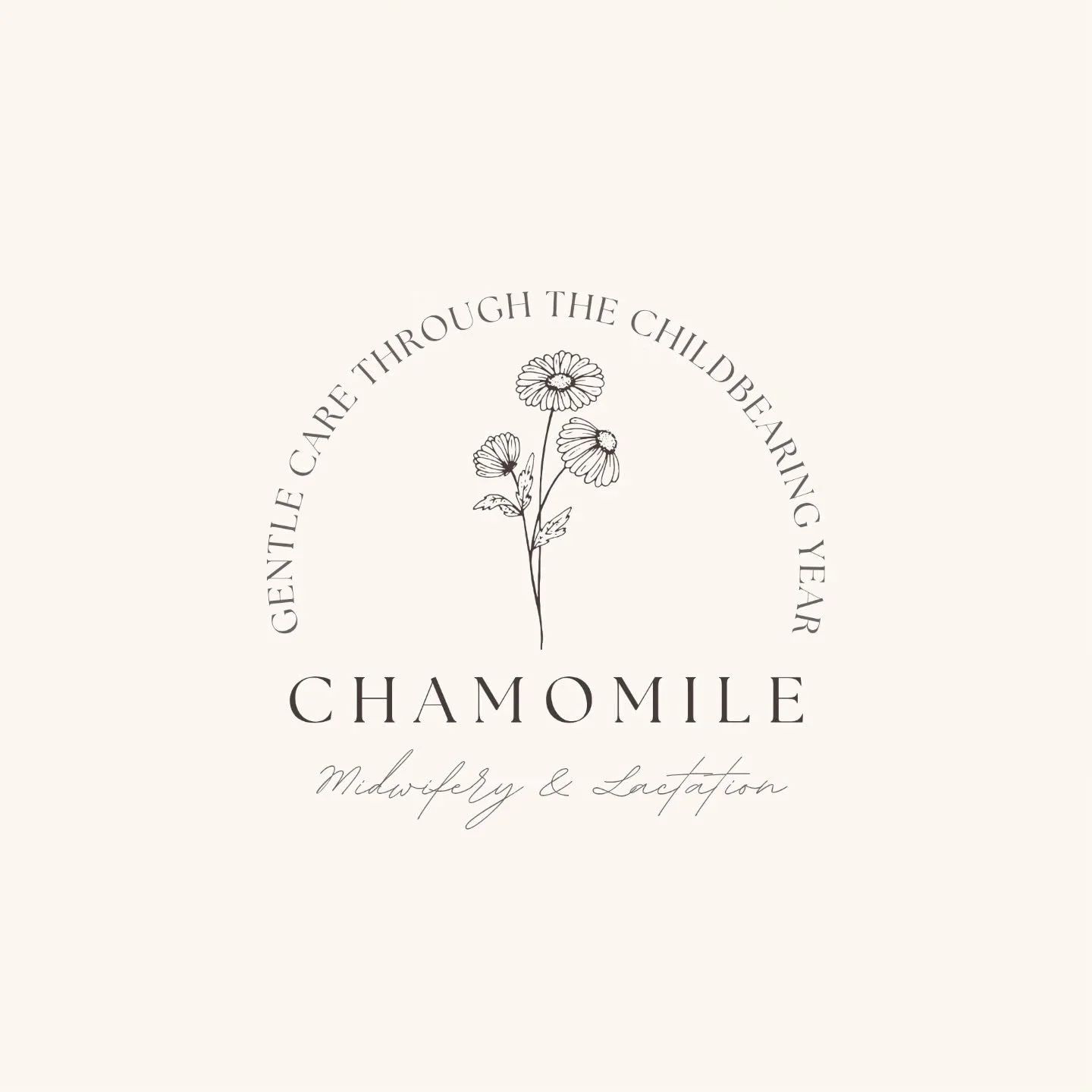 I&rsquo;ve been working on something close to my heart, and I&rsquo;m so excited to finally share it.

Introducing Chamomile Midwifery and Lactation 🤍

Chamomile is a plant known for being soothing, nurturing, and calming&mdash;long trusted to bring