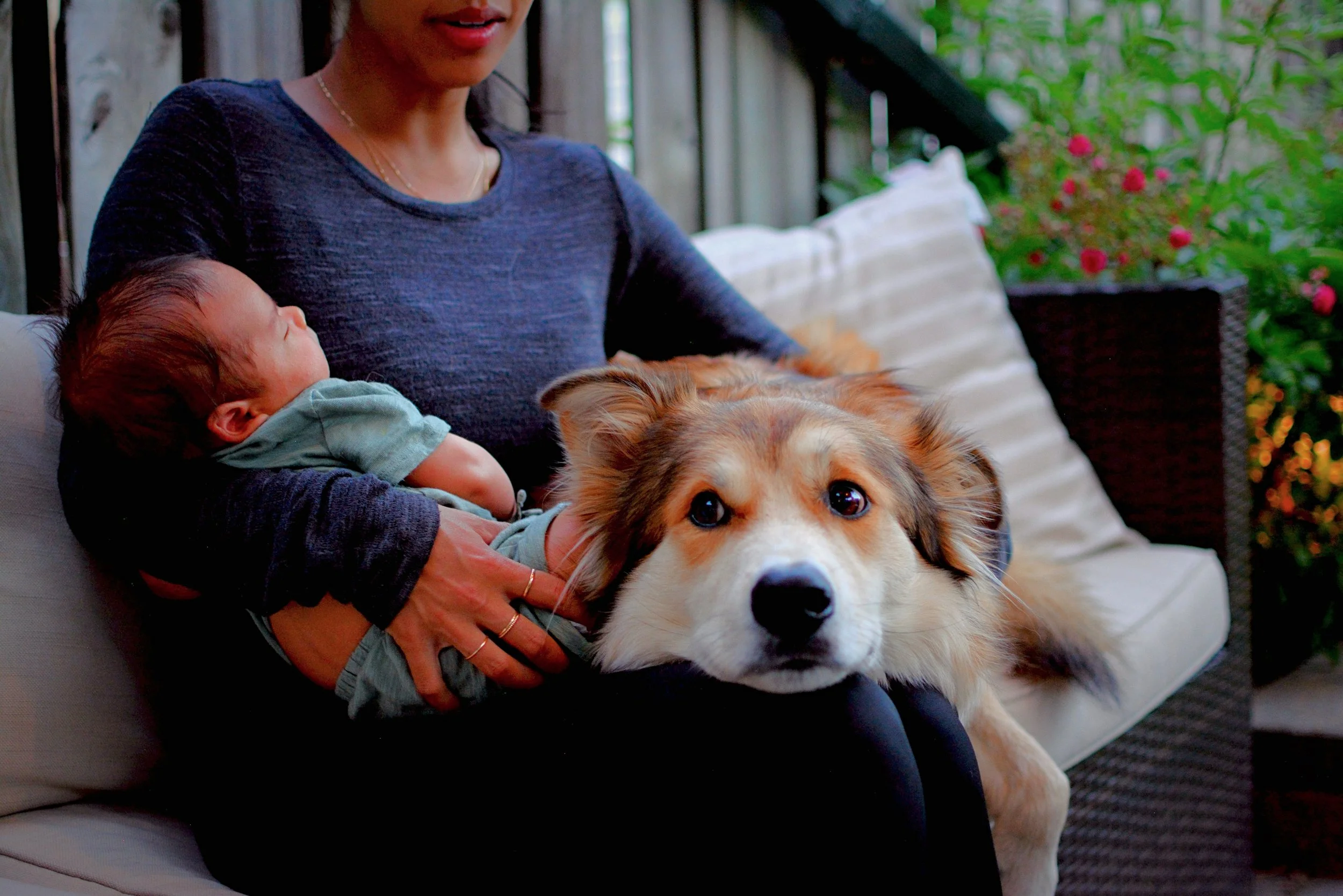 max-newborn-12.JPG