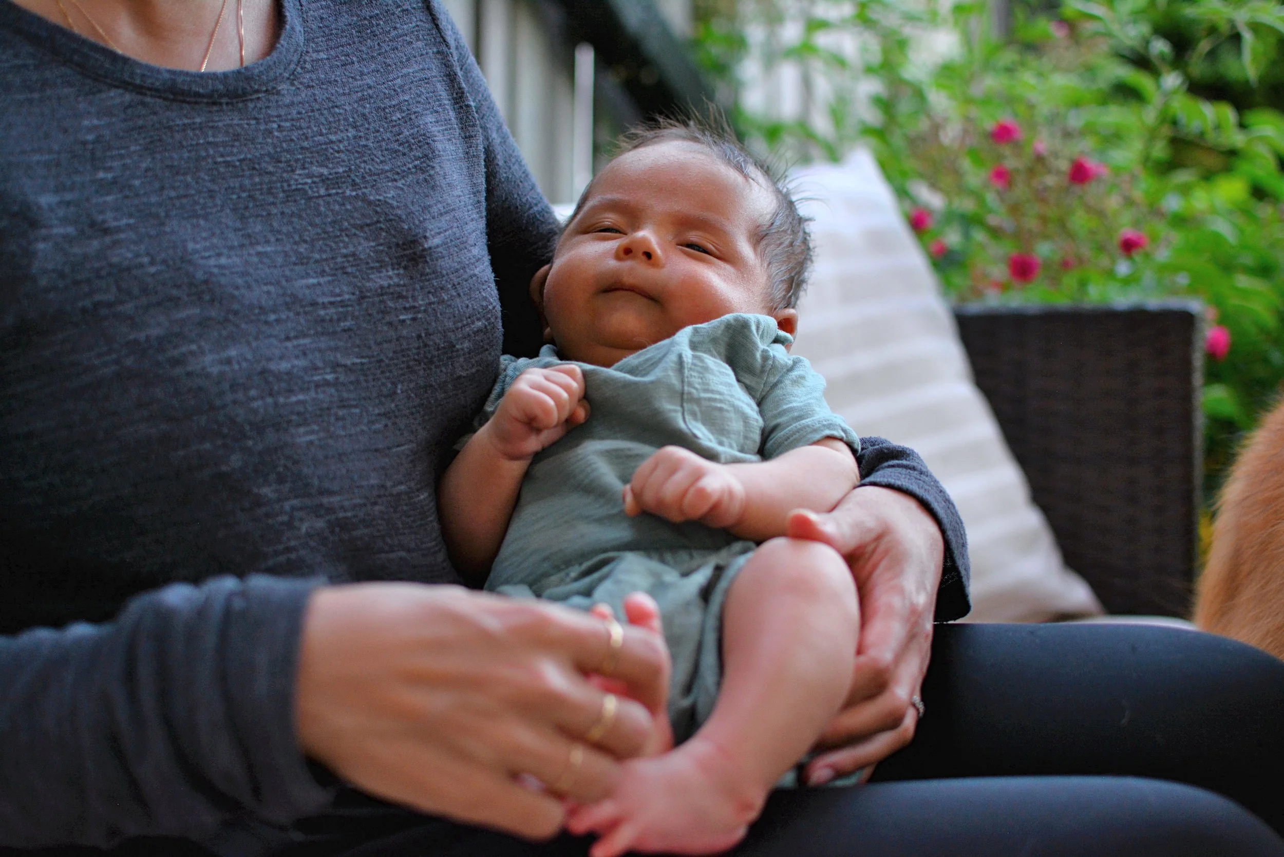 max-newborn-7.JPG