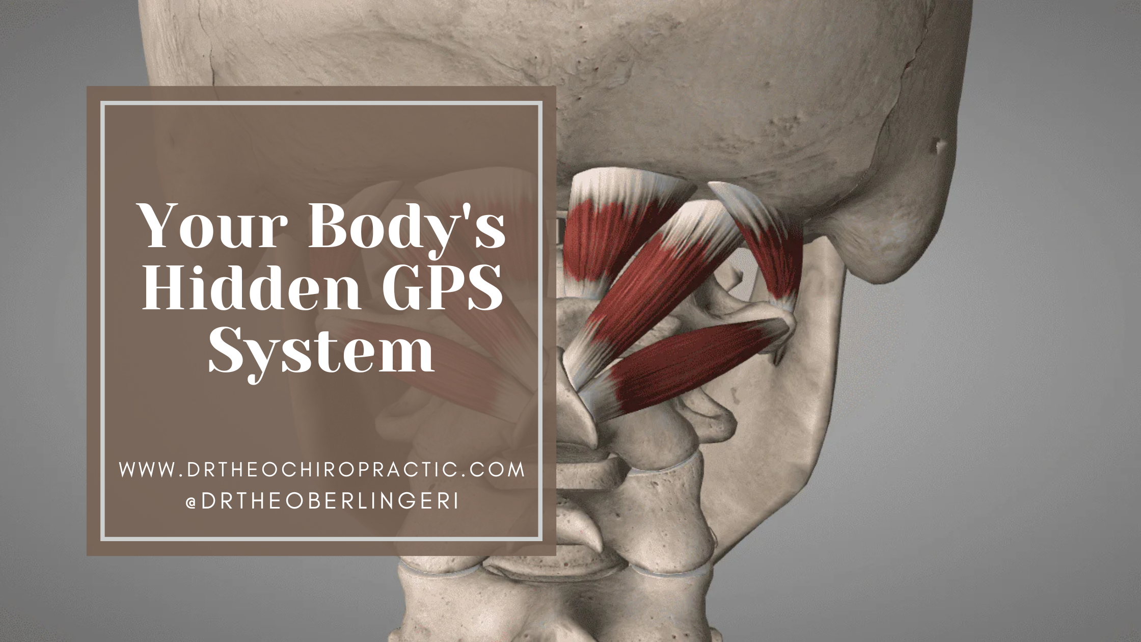 Your Body’s Hidden GPS System
