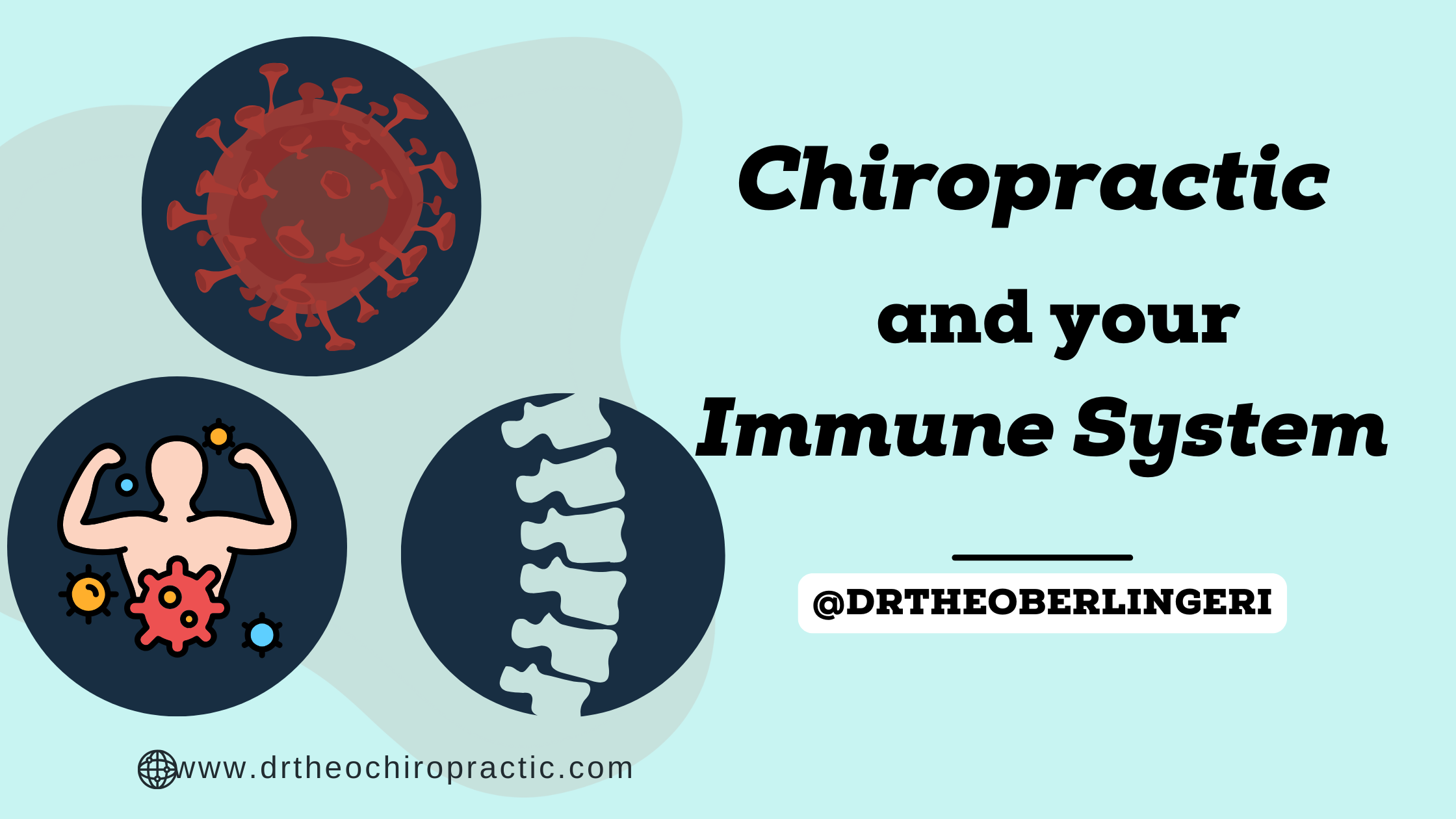 Chiropractic &amp; your Immune System