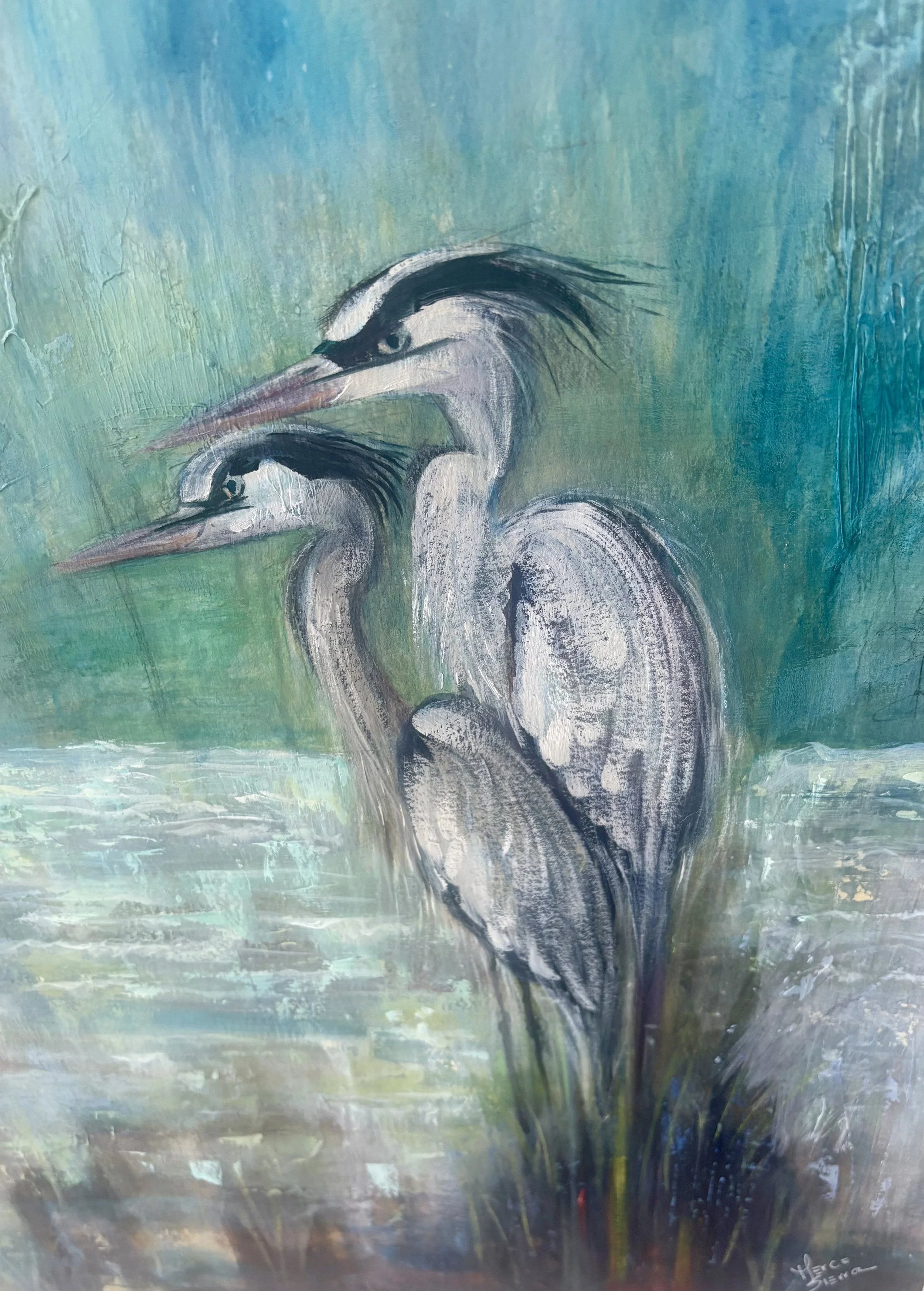 GARZAS ACOMPAÑADO EN EL HUMEDAL.jpg