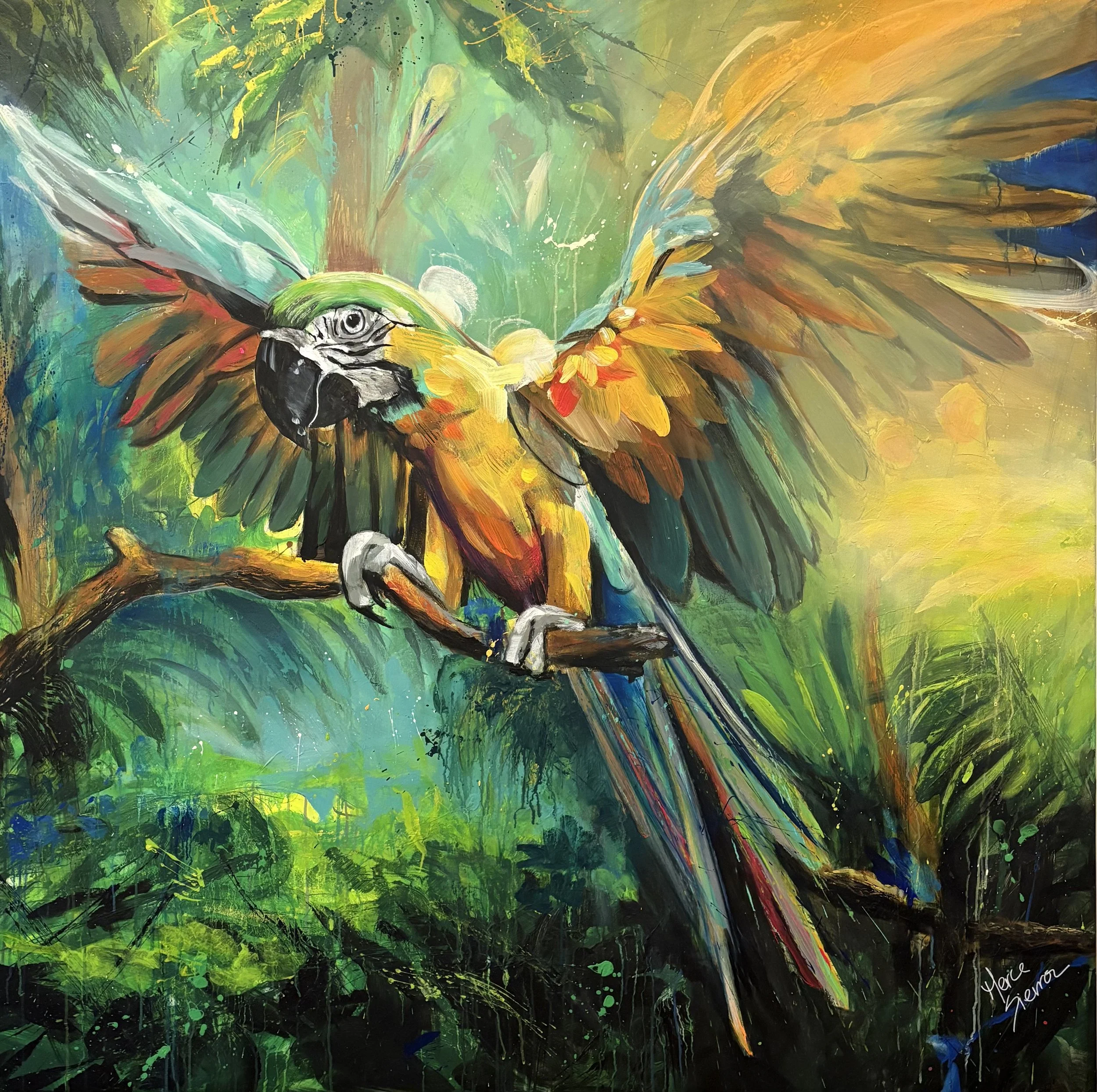 LIBERTAD MAGICA