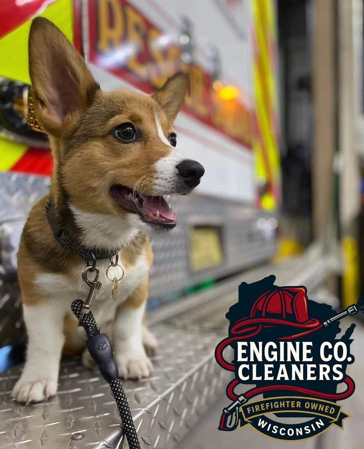 🐾 Meet the mascot of Engine Co. Cleaners!! 

This is Auggie, head of quality control, treat inspector, and jobsite supervisor 

He may not run the pressure washer (yet), but he&rsquo;s all about making sure every job meets our standards&hellip; and 
