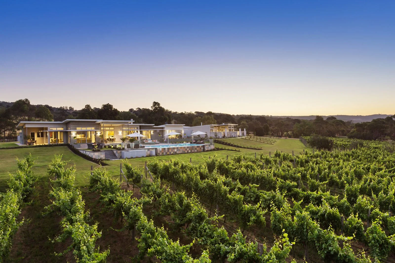 Peninsula Vineyard
