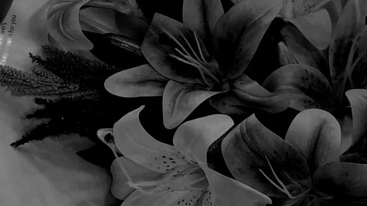 A white background with black and gray abstract floral patterns in the corners.