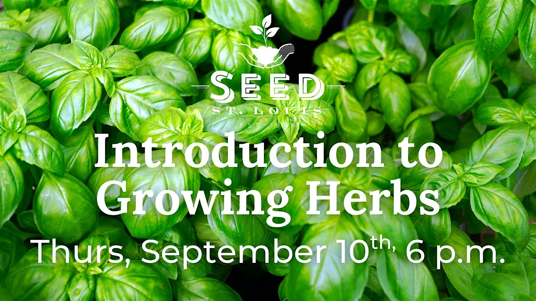 Introduction to Growing Herbs - Seed St. Louis