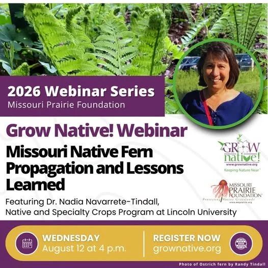 Grow Native! Webinar: Missouri Native Fern Propagation and Lessons Learned